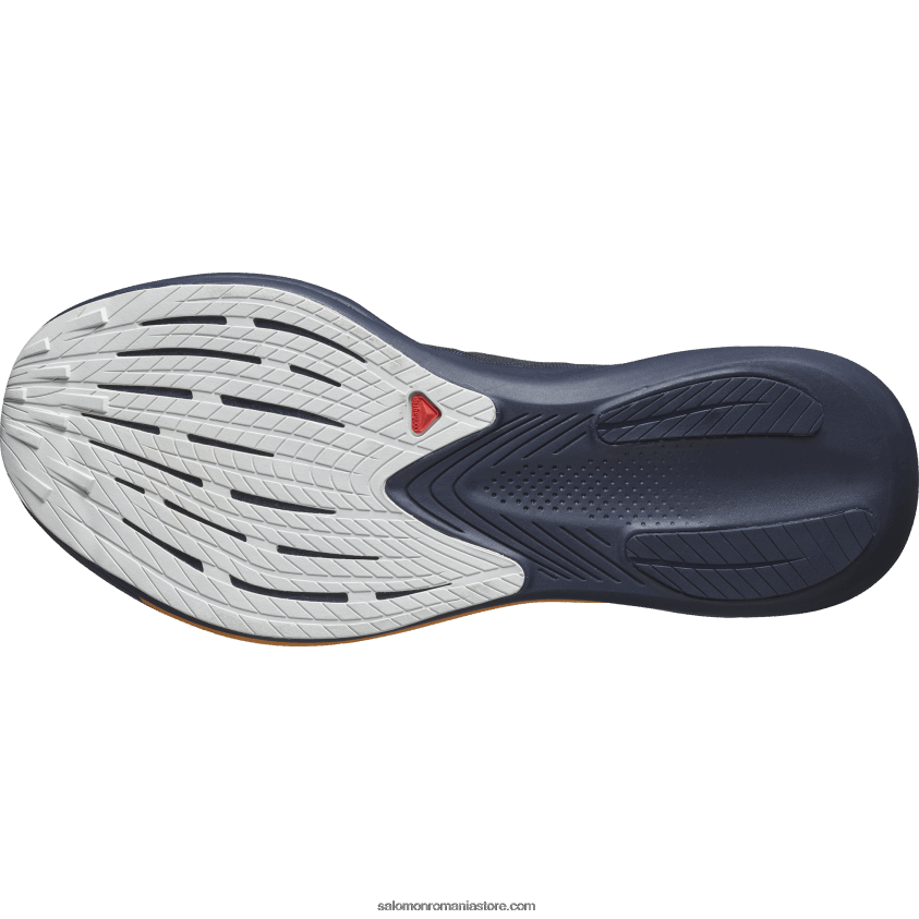 Salomon starea de spirit indigo/cerul de noapte/roca lunară pantofi de alergare pentru bărbați – fantasmă 6D8X2J1071