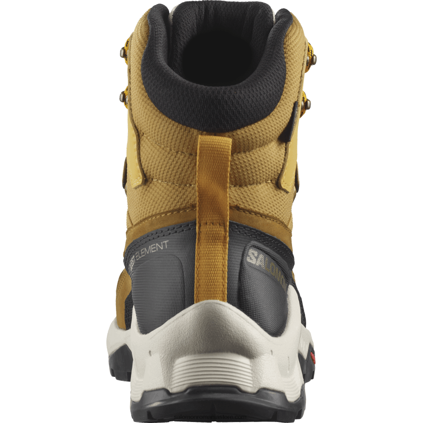 Salomon chimen/nisip albit/șofran ghete de drumeție din piele pentru bărbați - quest element gore-tex 6D8X2J50
