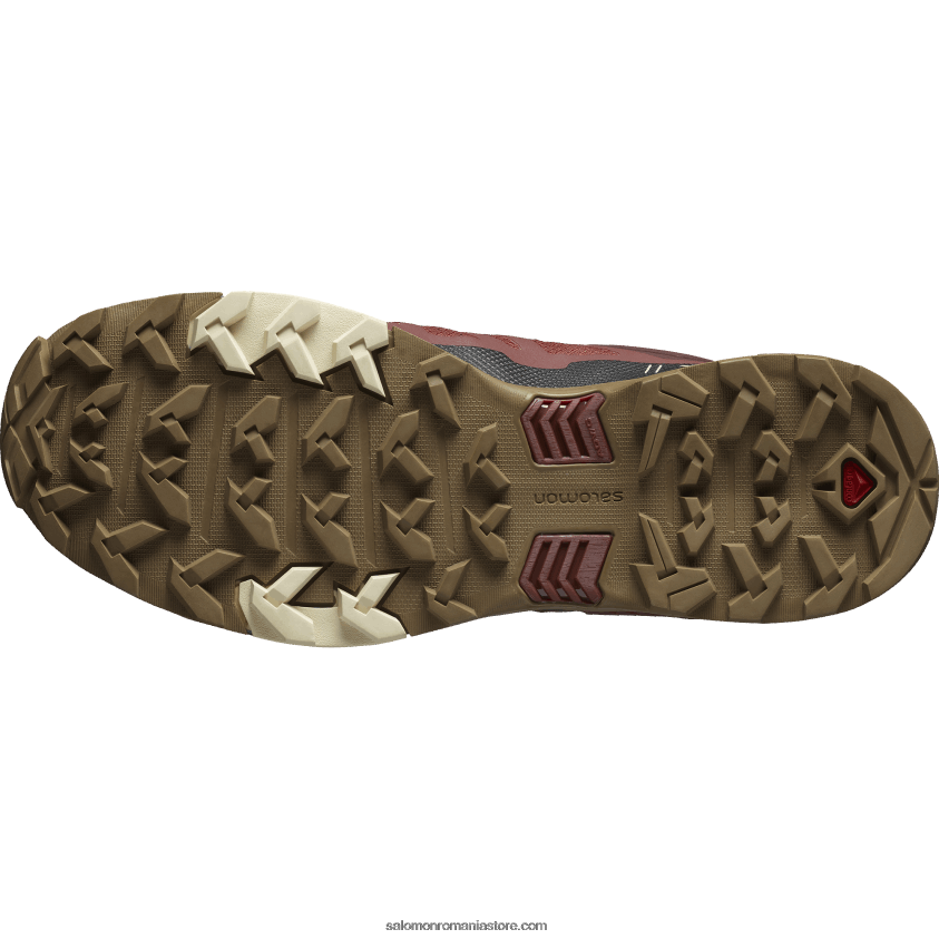 Salomon henna ars/negru/aur plictisitor pantofi de drumeție pentru bărbați - x ultra 4 gore-tex 6D8X2J15