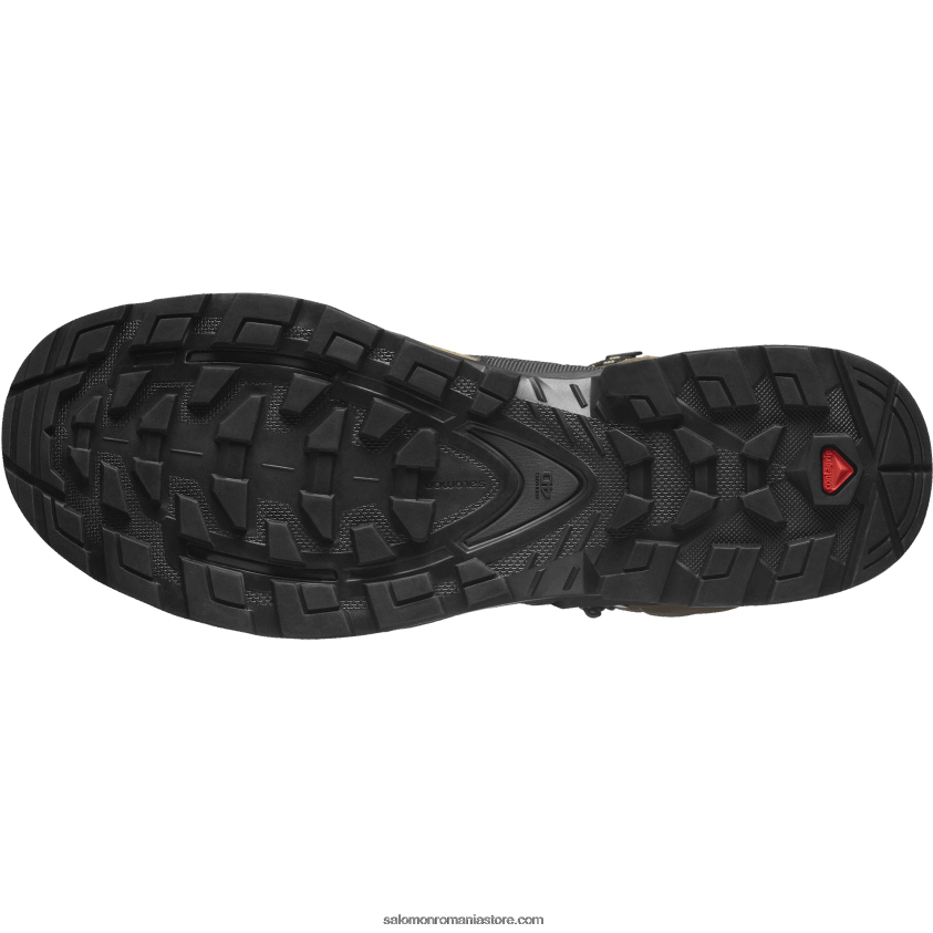 Salomon palmier deșert/negru/varec ghete de drumeție din piele pentru bărbați - quest 4 gore-tex 6D8X2J6