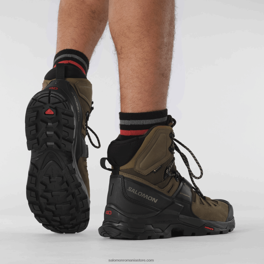 Salomon palmier deșert/negru/varec ghete de drumeție din piele pentru bărbați - quest 4 gore-tex 6D8X2J6