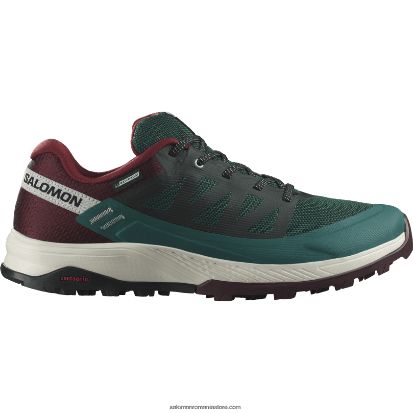 Salomon pin ponderosa/ciocolată amară/gheață de vanilie pantofi de drumeție pentru bărbați - outrise clima waterproof 6D8X2J55
