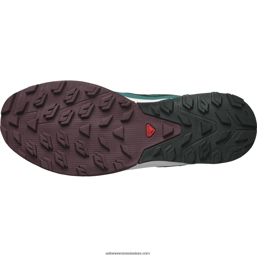 Salomon pin ponderosa/ciocolată amară/gheață de vanilie pantofi de drumeție pentru bărbați - outrise clima waterproof 6D8X2J55