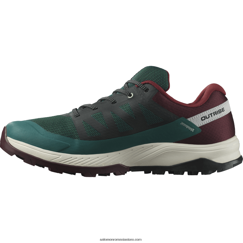 Salomon pin ponderosa/ciocolată amară/gheață de vanilie pantofi de drumeție pentru bărbați - outrise clima waterproof 6D8X2J55