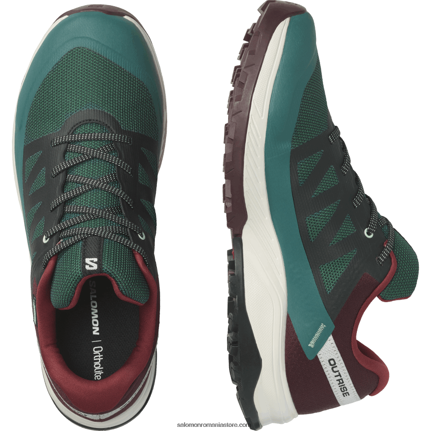 Salomon pin ponderosa/ciocolată amară/gheață de vanilie pantofi de drumeție pentru bărbați - outrise clima waterproof 6D8X2J55