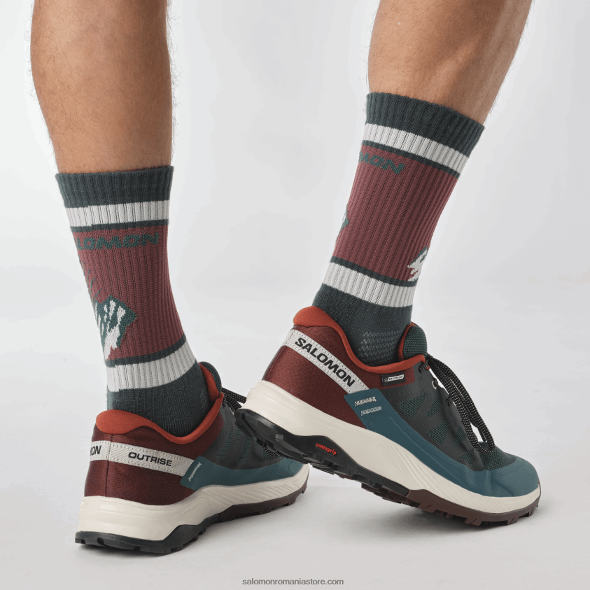 Salomon pin ponderosa/ciocolată amară/gheață de vanilie pantofi de drumeție pentru bărbați - outrise clima waterproof 6D8X2J55