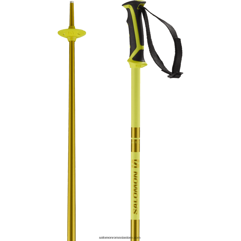 Salomon galben stâlpi alpini bărbați – arctic 6D8X2J1256