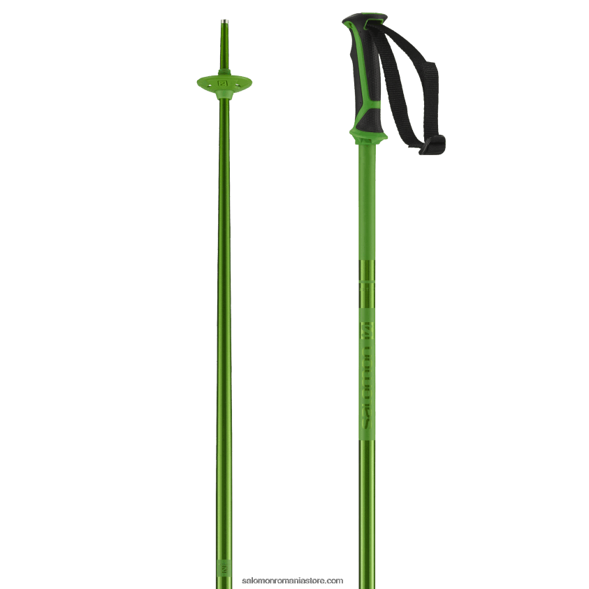 Salomon verde stâlpi alpini bărbați – arctic 6D8X2J1258