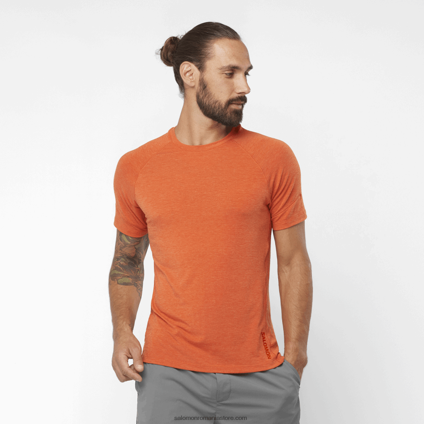 Salomon ocru ars/heica tricou bărbați cu mânecă scurtă - runlife 6D8X2J1199