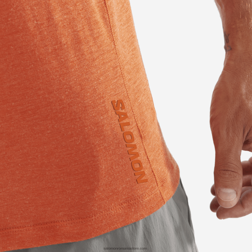 Salomon ocru ars/heica tricou bărbați cu mânecă scurtă - runlife 6D8X2J1199