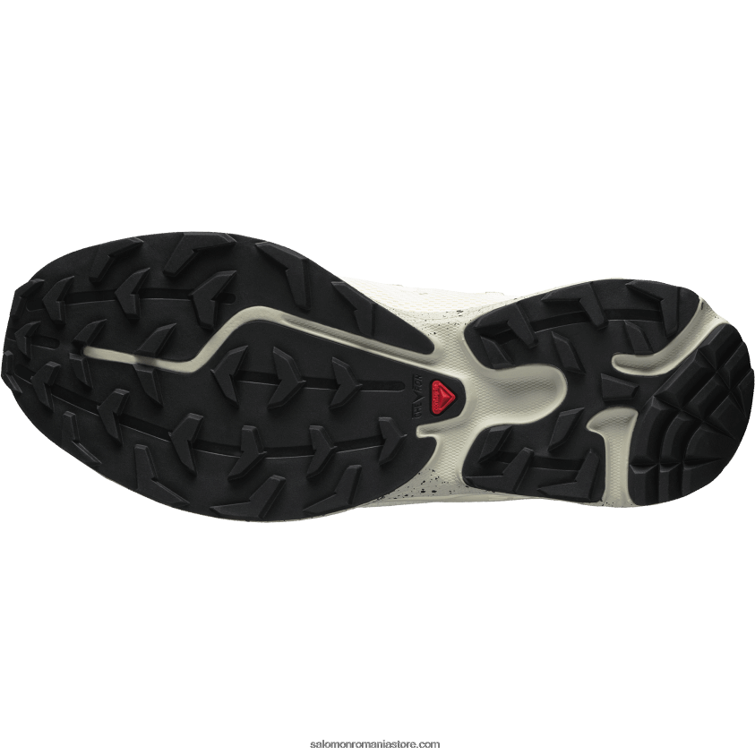 Salomon rocă albă/lunar/gheață de vanilie pantofi sport dama - xt-rush 6D8X2J772