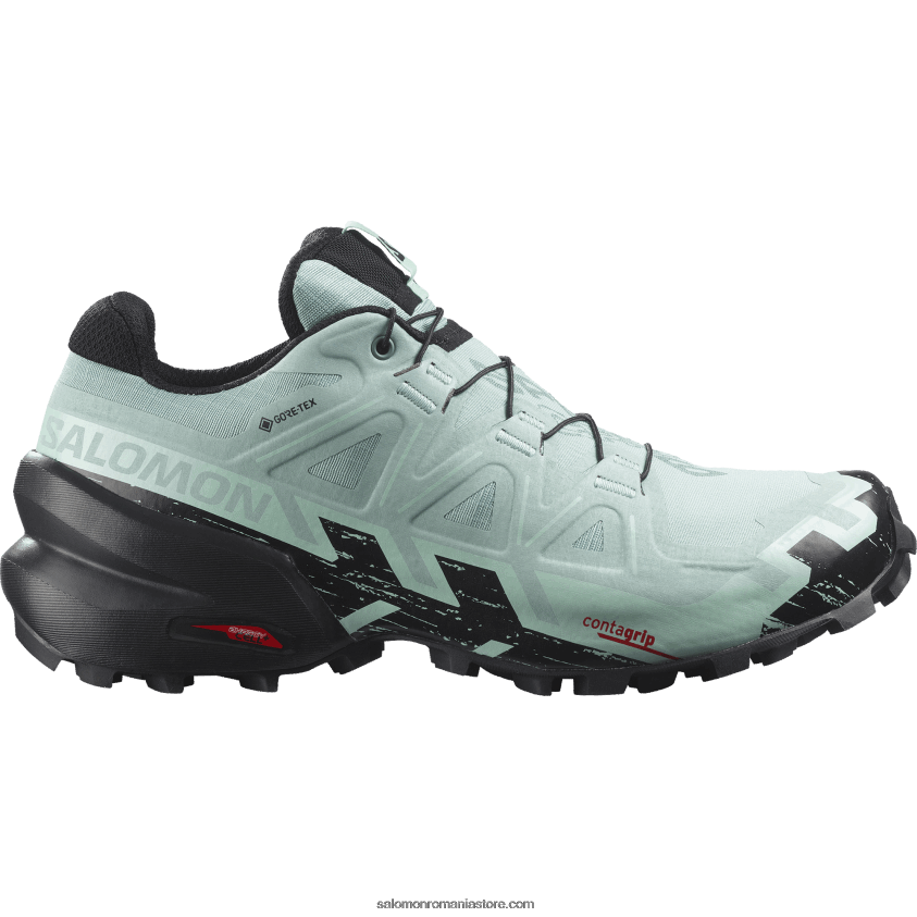 Salomon acvifer/negru/yucca pantofi de trail de damă - speedcross 6 gore-tex 6D8X2J1517