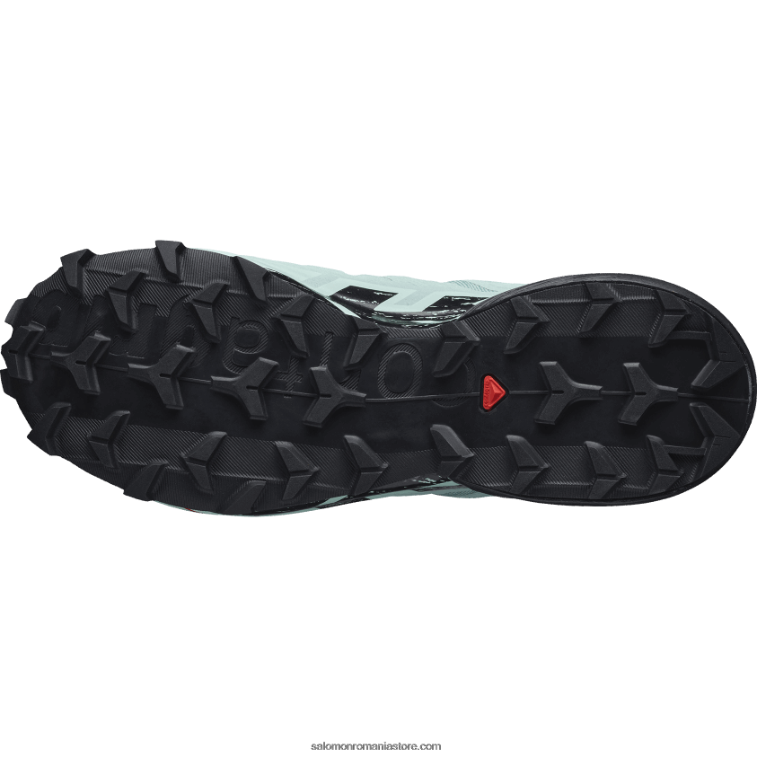 Salomon acvifer/negru/yucca pantofi de trail de damă - speedcross 6 gore-tex 6D8X2J1517
