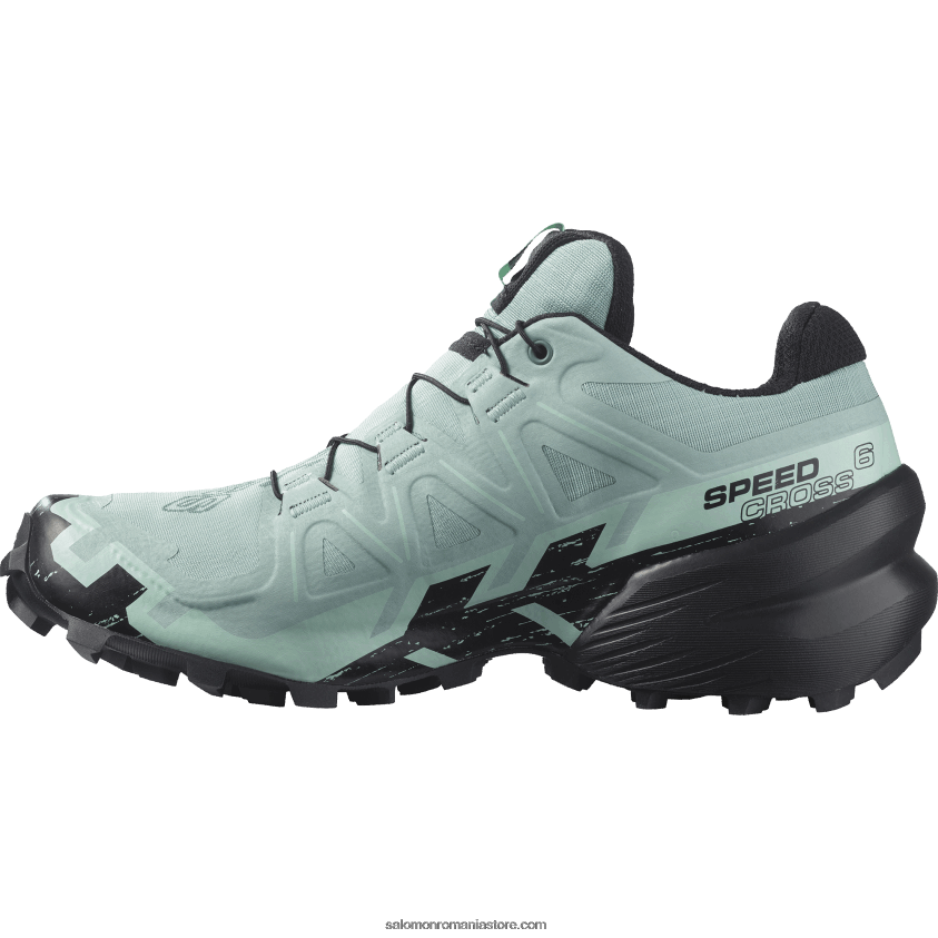 Salomon acvifer/negru/yucca pantofi de trail de damă - speedcross 6 gore-tex 6D8X2J1517