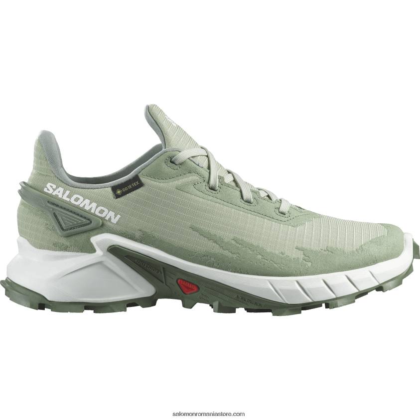 Salomon coroană de salvie/albă/de deșert pantofi alergare dama - alphacross 4 gore-tex 6D8X2J1531