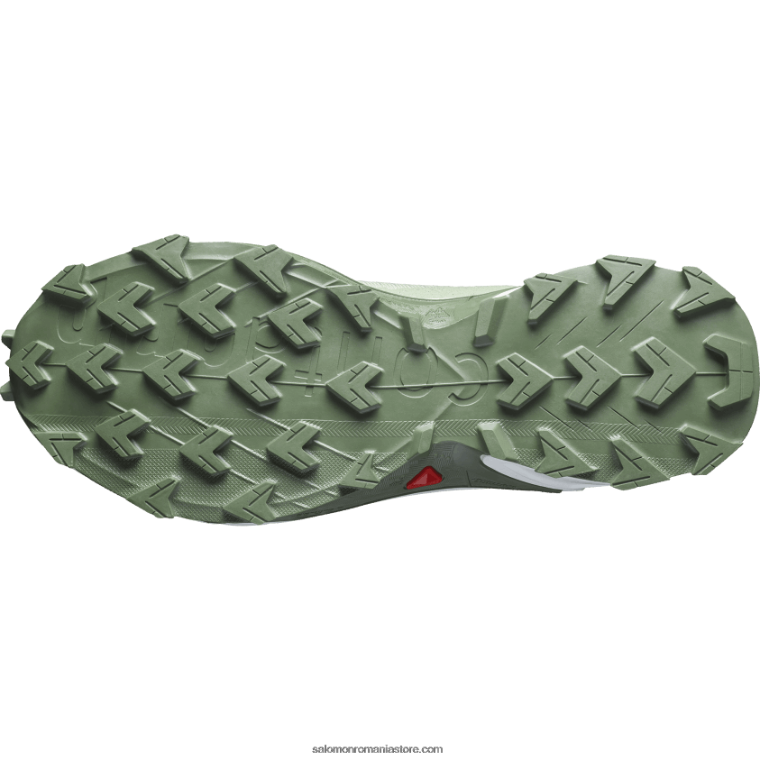 Salomon coroană de salvie/albă/de deșert pantofi alergare dama - alphacross 4 gore-tex 6D8X2J1531