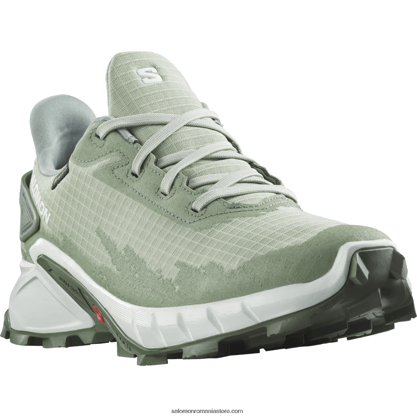Salomon coroană de salvie/albă/de deșert pantofi alergare dama - alphacross 4 gore-tex 6D8X2J1531