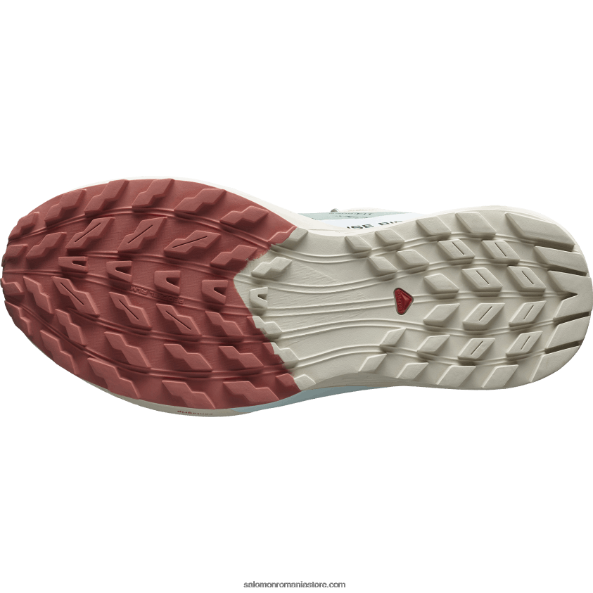Salomon crin/zi ploioasă/aqua albită pantofi de trail de damă - sense ride 5 6D8X2J1496