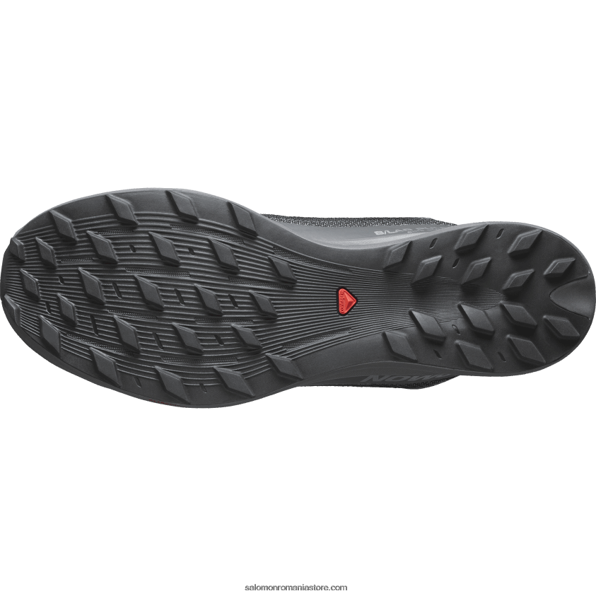 Salomon nuanta linistita/magnet/negru pantofi de trail de damă - s/lab pulsar 2 soft ground 6D8X2J1518