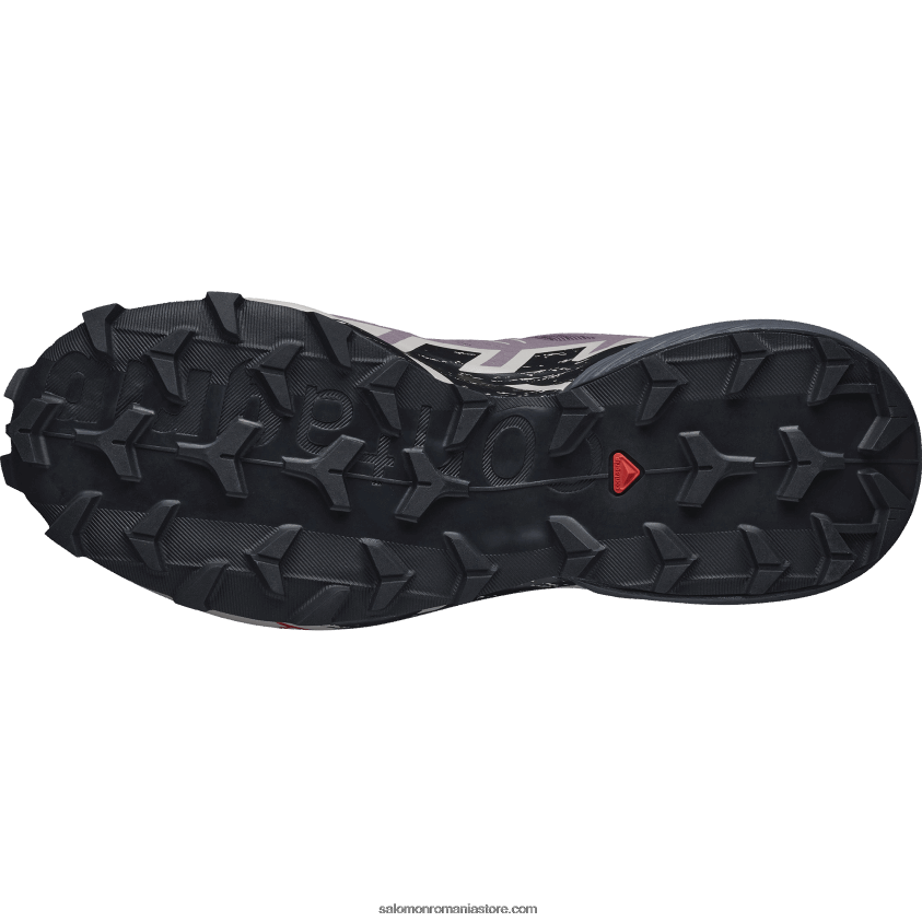 Salomon peisaj lunar/negru/cenusa de trandafiri pantofi de alergare trail damă - speedcross 6 6D8X2J1504