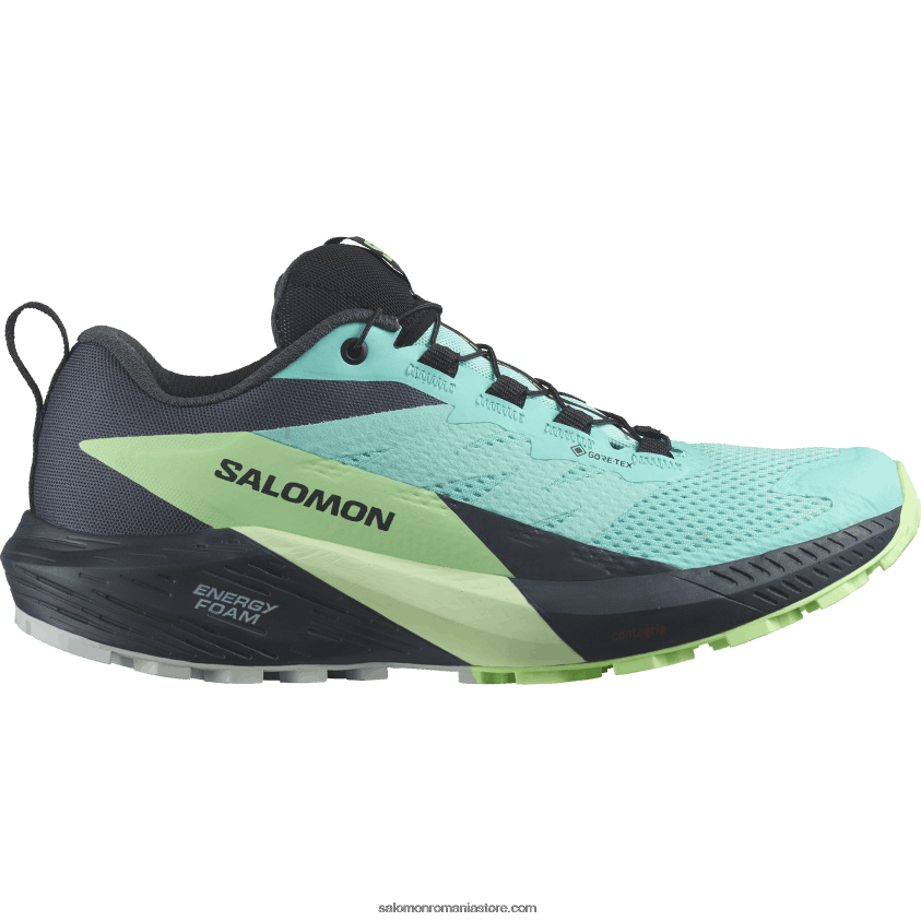 Salomon strălucire albastră/cenuşă verde/cerneală india pantofi de trail de damă - sense ride 5 gore-tex 6D8X2J1528