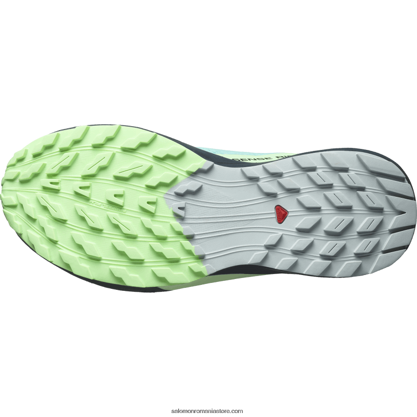 Salomon strălucire albastră/cenuşă verde/cerneală india pantofi de trail de damă - sense ride 5 gore-tex 6D8X2J1528