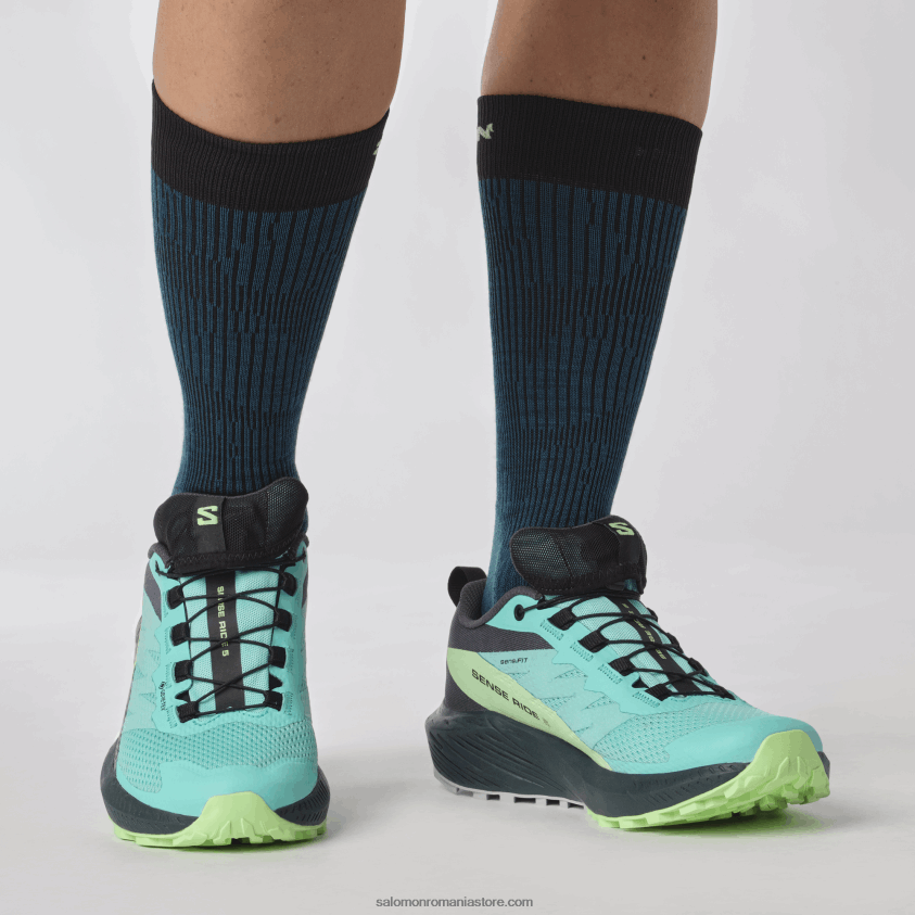 Salomon strălucire albastră/cenuşă verde/cerneală india pantofi de trail de damă - sense ride 5 gore-tex 6D8X2J1528