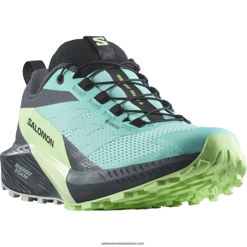 Salomon strălucire albastră/cenuşă verde/cerneală india pantofi de trail de damă - sense ride 5 gore-tex 6D8X2J1528