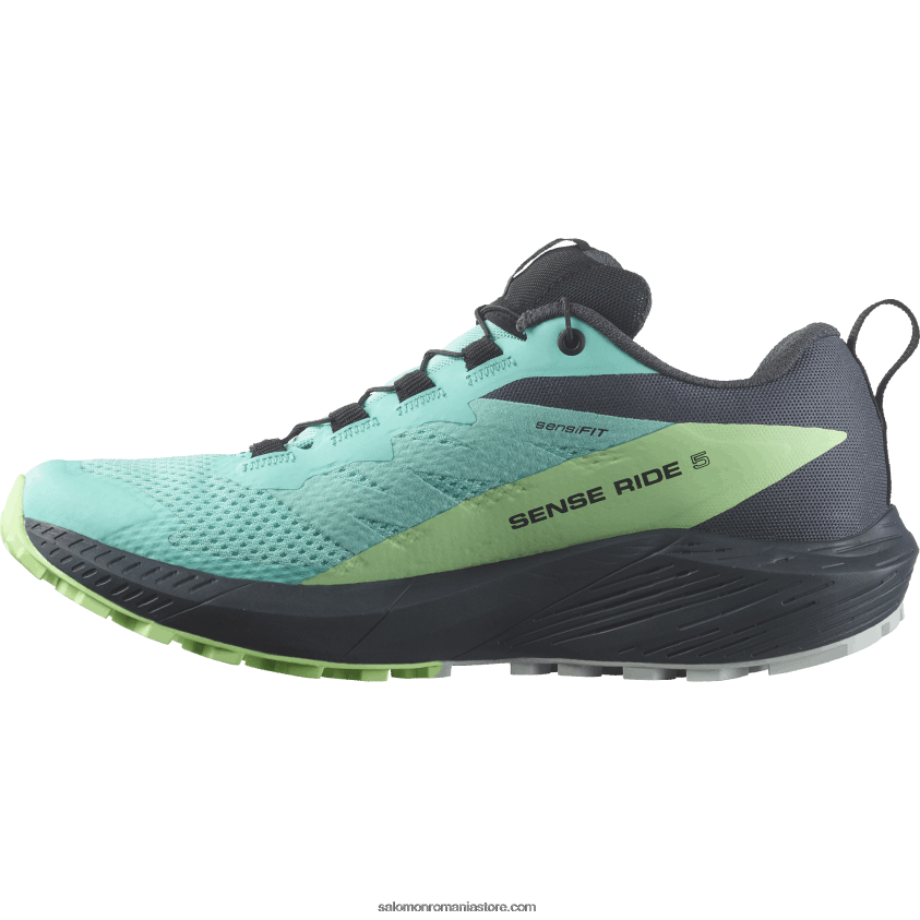 Salomon strălucire albastră/cenuşă verde/cerneală india pantofi de trail de damă - sense ride 5 gore-tex 6D8X2J1528