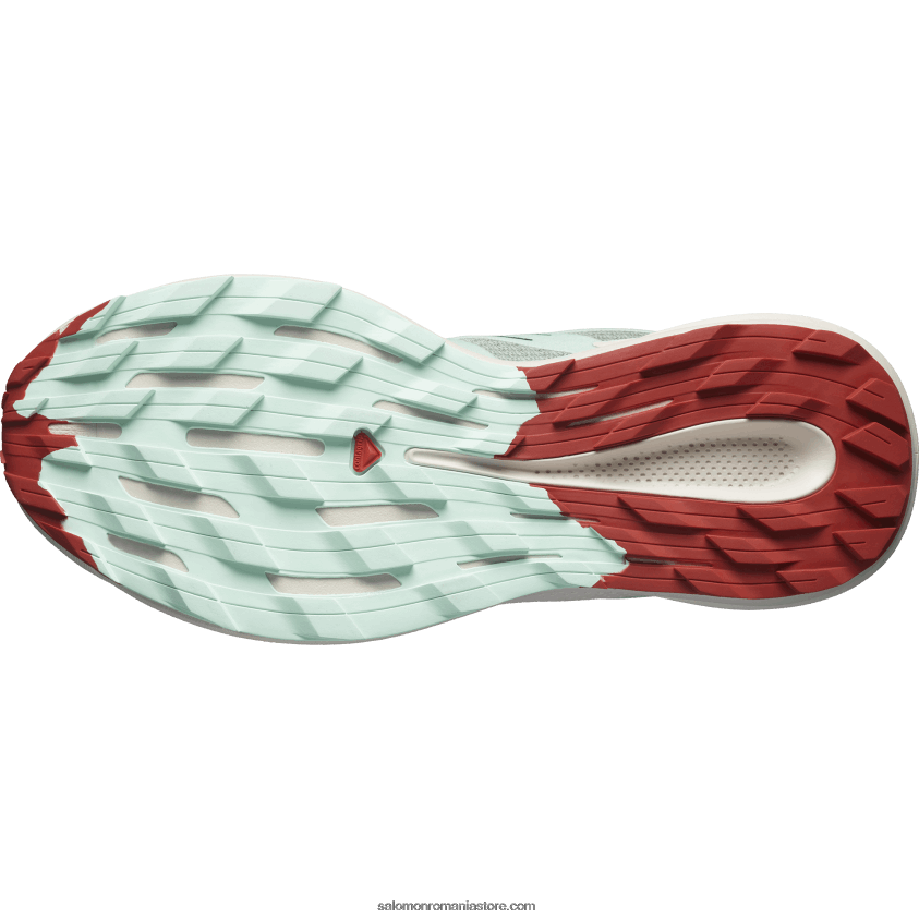 Salomon tampon de crin/aqua albit/sos iute pantofi de alergare trail damă - pulsar trail 6D8X2J1514
