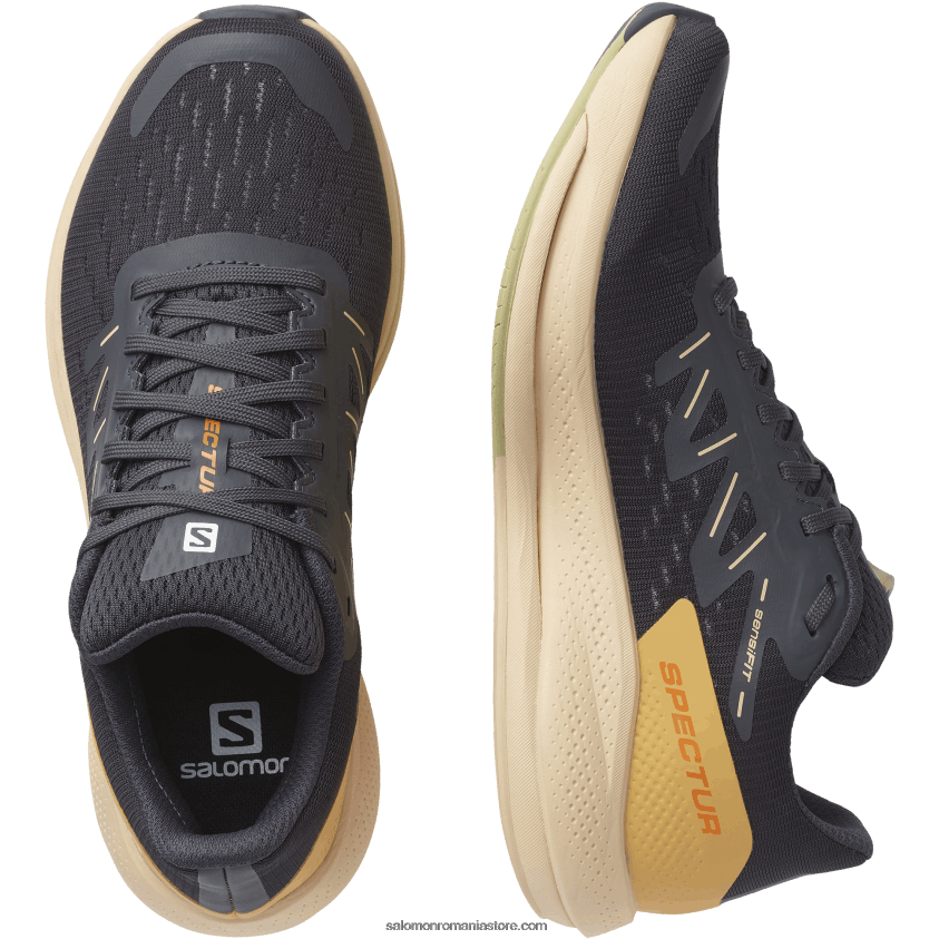 Salomon abanos/crema de migdale/verde praz pantofi de alergare dama - spectur 6D8X2J749