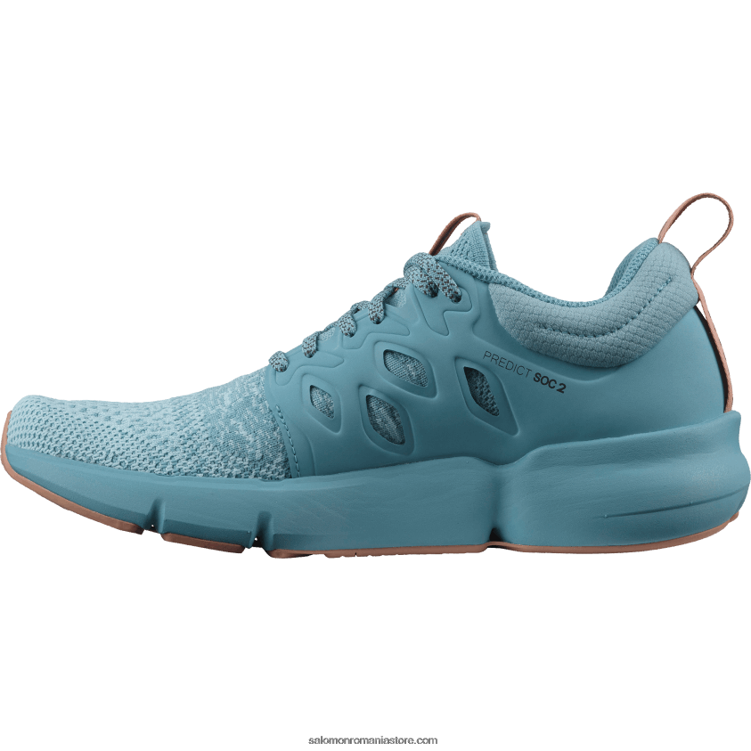 Salomon albastru cristal/albastru delphinium/sirocco pantofi de alergare pentru femei - predict soc 2 6D8X2J757