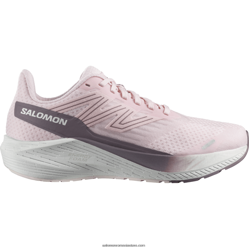 Salomon leagăn roz/alb/peisaj lunar pantofi de alergare damă - aero blaze 6D8X2J740