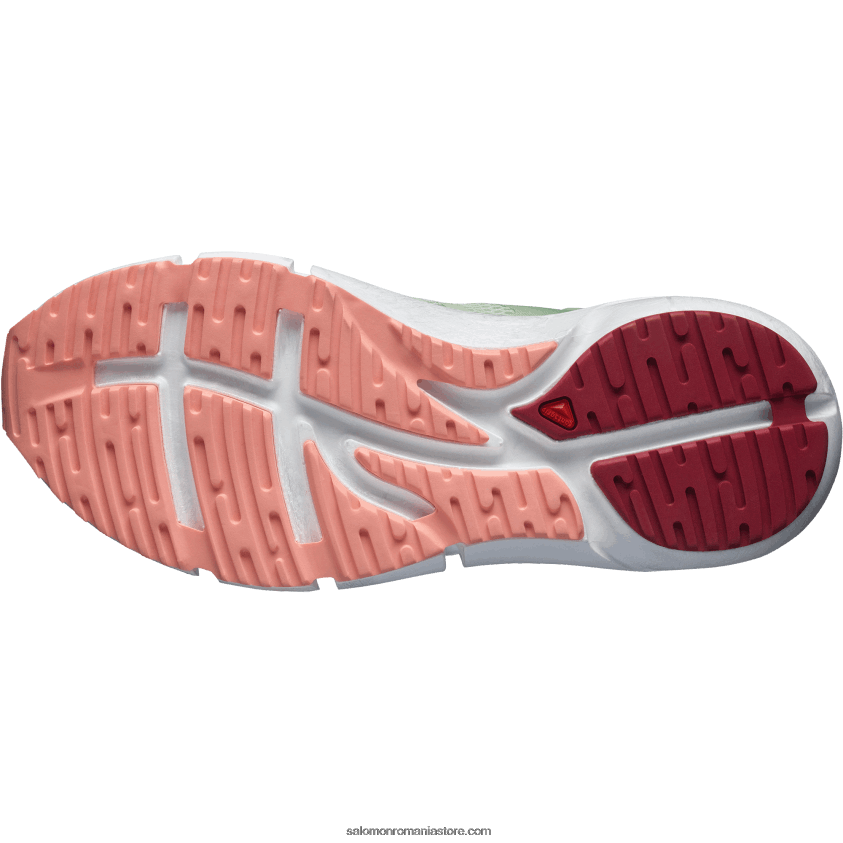 Salomon spray/verde granit/dalie înflorită pantofi de alergare pentru femei - prezice 2 6D8X2J755