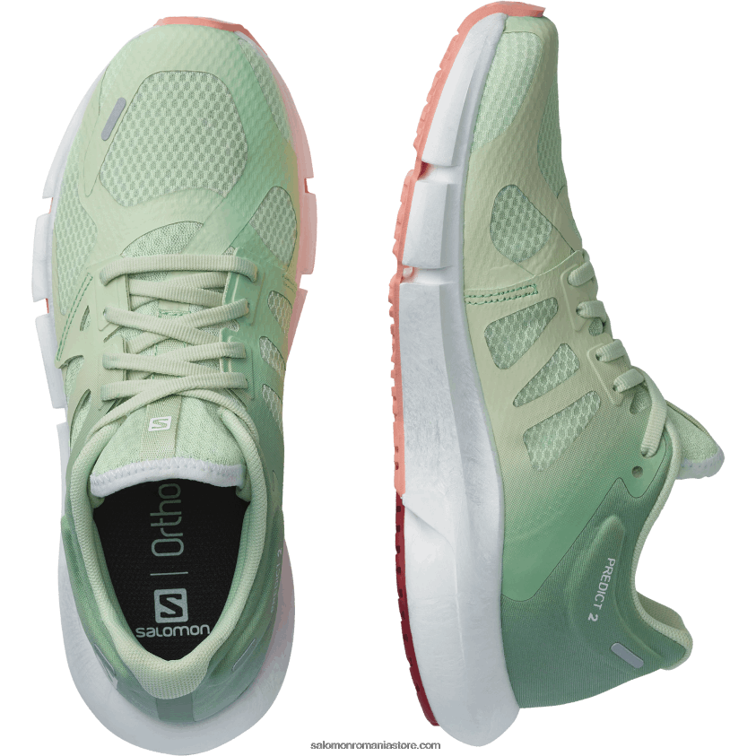 Salomon spray/verde granit/dalie înflorită pantofi de alergare pentru femei - prezice 2 6D8X2J755