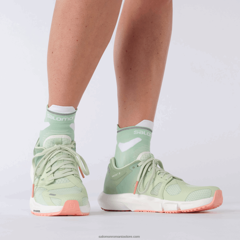 Salomon spray/verde granit/dalie înflorită pantofi de alergare pentru femei - prezice 2 6D8X2J755