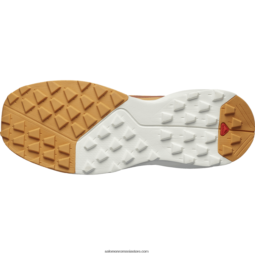 Salomon lemn de cedru/piele de căpin/nor de trandafiri pantofi de drumeție damă – patrulă 6D8X2J1126
