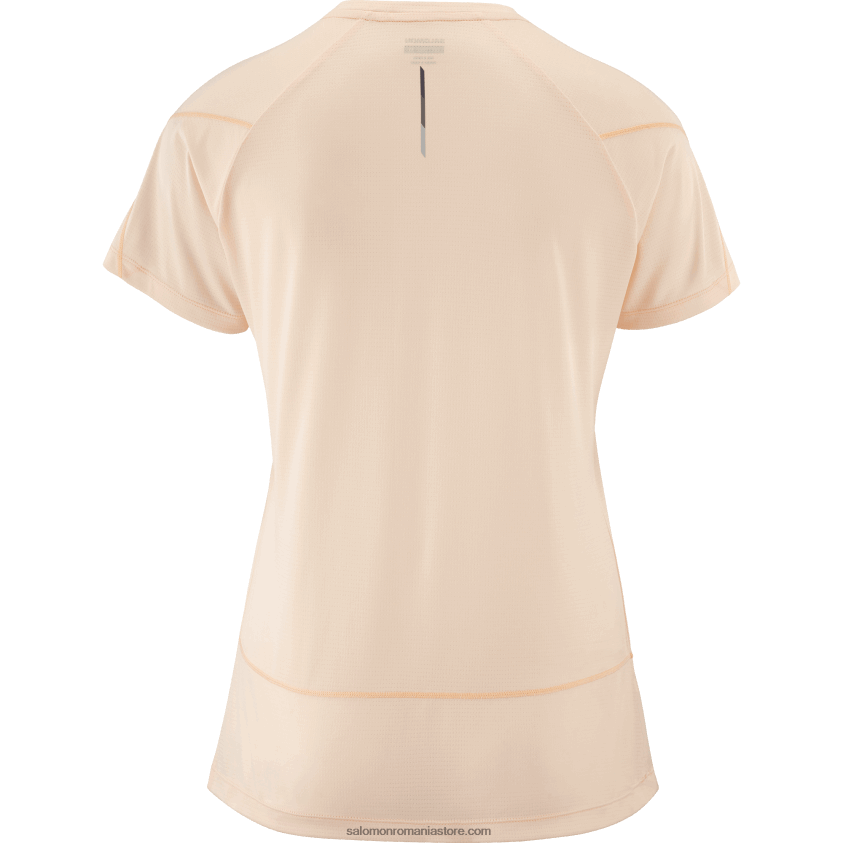 Salomon crem bronz/hether tricou dama cu maneca scurta - cross run 6D8X2J878