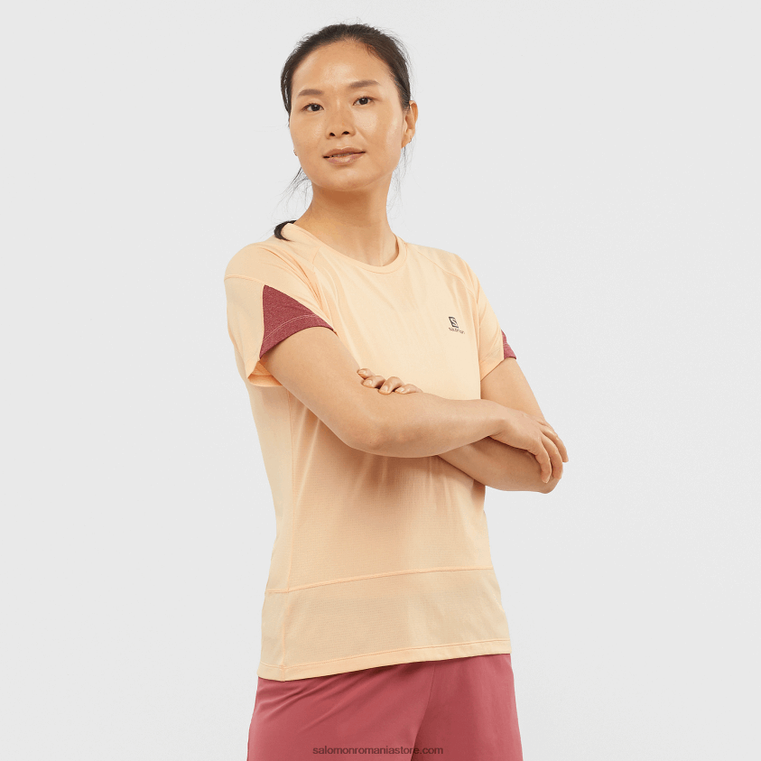 Salomon gheață de caise/hether/cabernet tricou dama cu maneca scurta - cross run 6D8X2J891