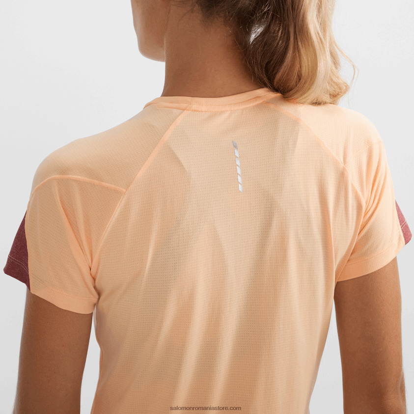 Salomon gheață de caise/hether/cabernet tricou dama cu maneca scurta - cross run 6D8X2J891