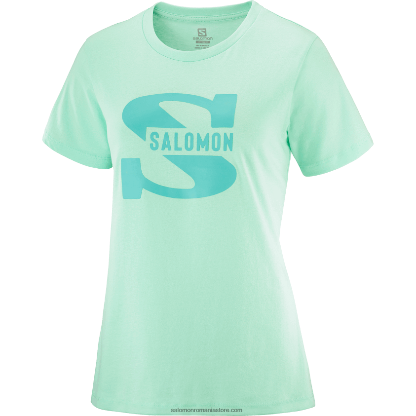 Salomon sticla de plaja tricou dama cu maneca scurta - logo outlife mare 6D8X2J902