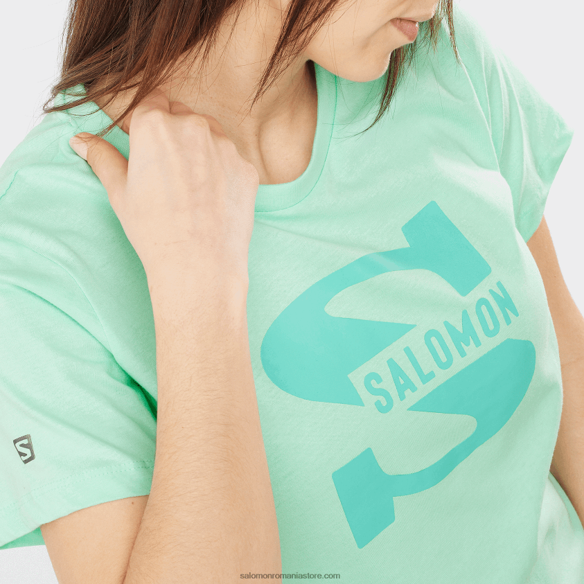 Salomon sticla de plaja tricou dama cu maneca scurta - logo outlife mare 6D8X2J902